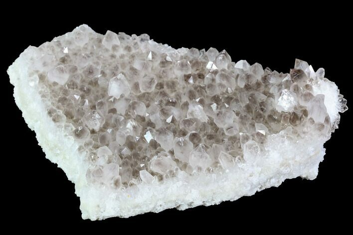 Smoky Quartz Crystal Cluster - Diamond Hill, South Carolina #91241